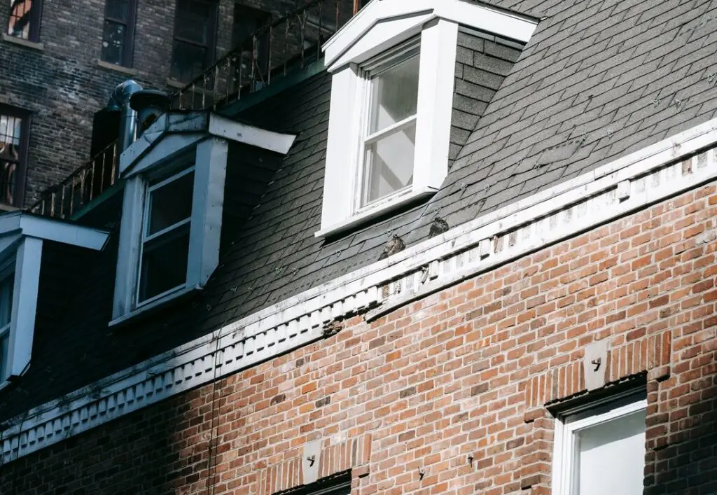Dakkapel met wit geschilderd houtwerk op een bakstenen woning